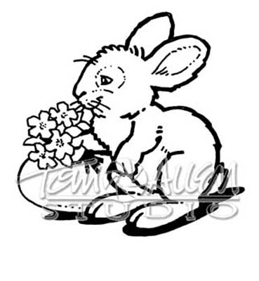 T-F-AN-BUNY13tn