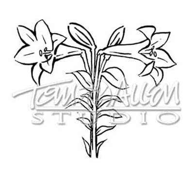T-F-LILLY02tn